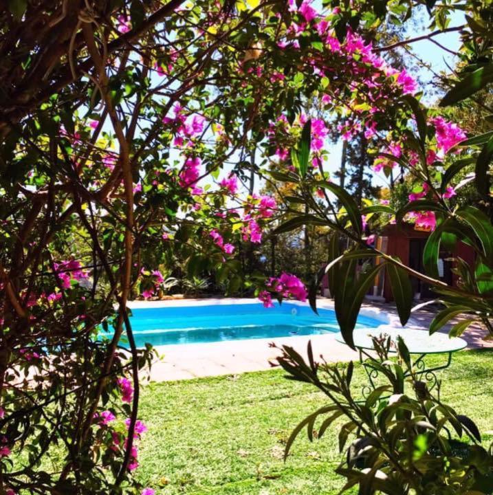 Casa Rural Con Piscina Viajar Con Mascota Gaucín Extérieur photo
